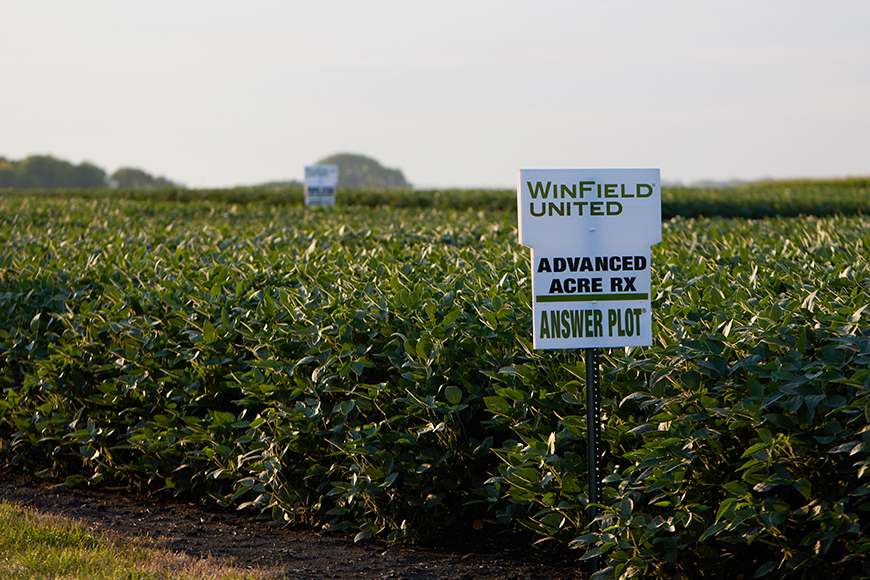 WinField United Answer Plot field sign in a soybean field.