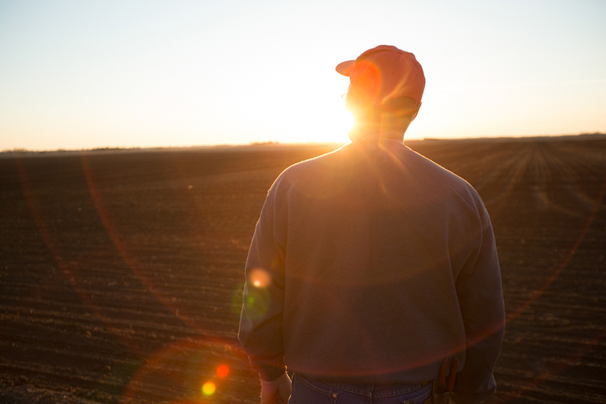 Grower looking onto their farm fields at sunrise.