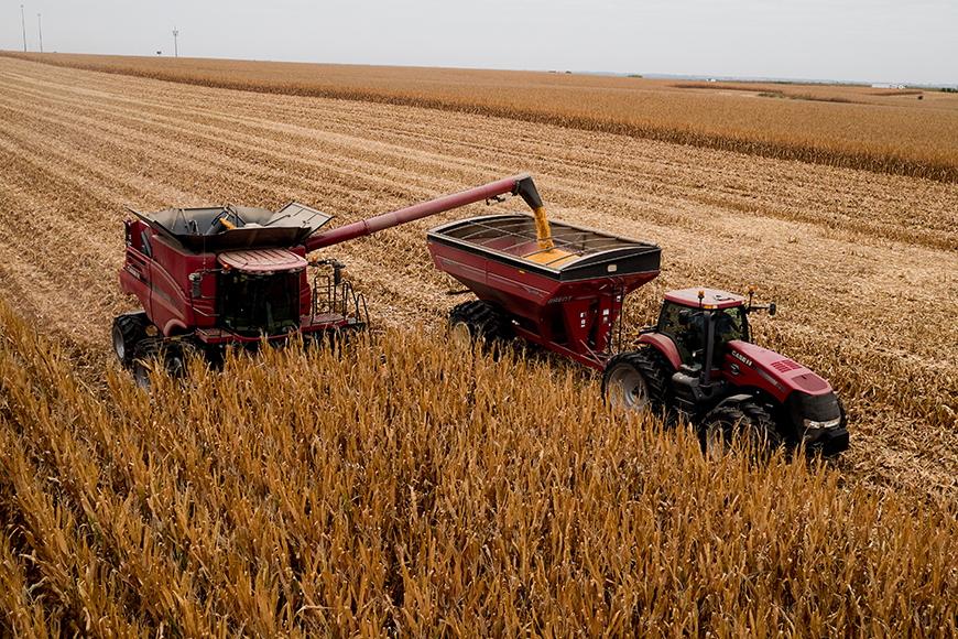 Combine unloads into a grain cart in a corn field.