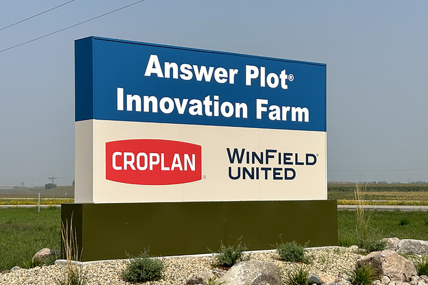 answer-plot-innovation-farm_870x580.jpg