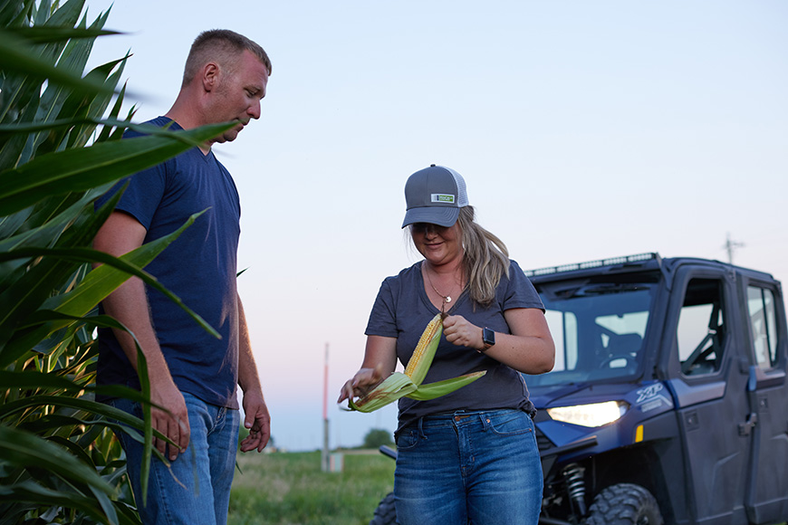 Growers in the field inspecting a cob of corn.