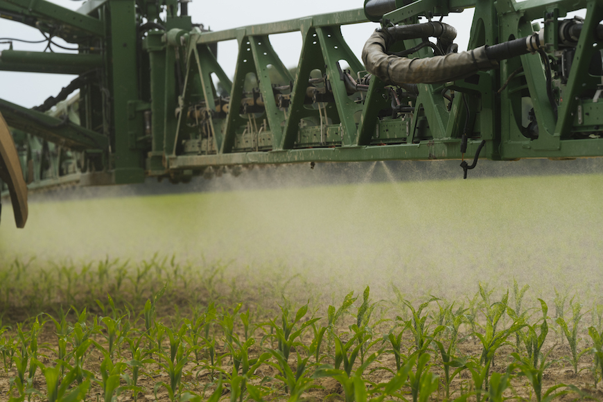 Sprayer boom applying herbicide onto early corn