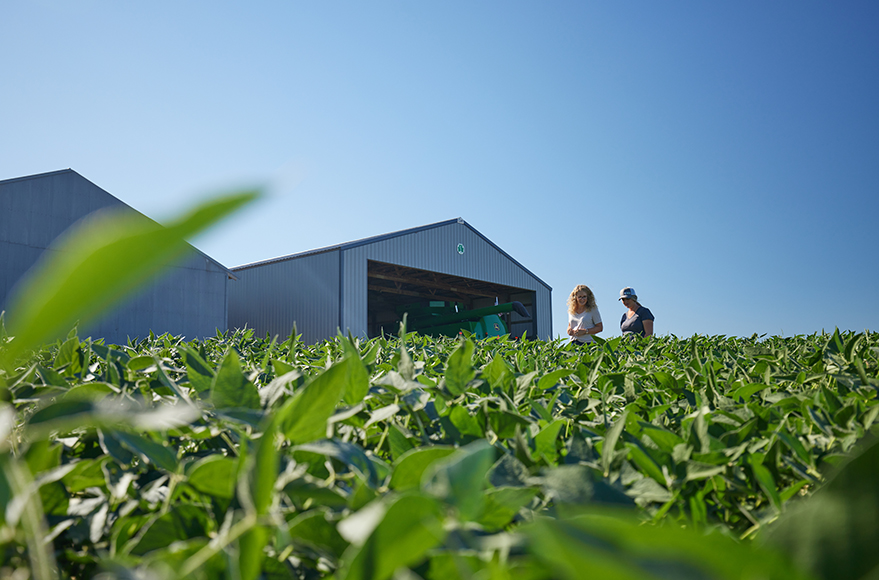 Grower and retailer walking through a soybean field in front of equipment shed.