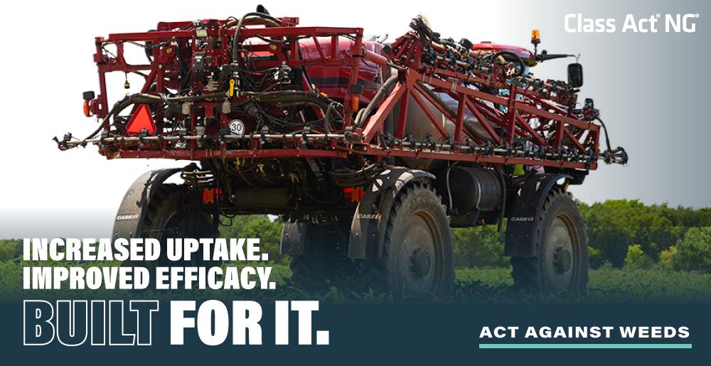 Class Act NG Built For It Banner