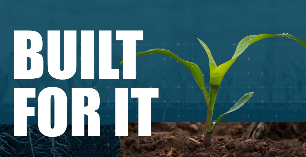 Built For It Banner