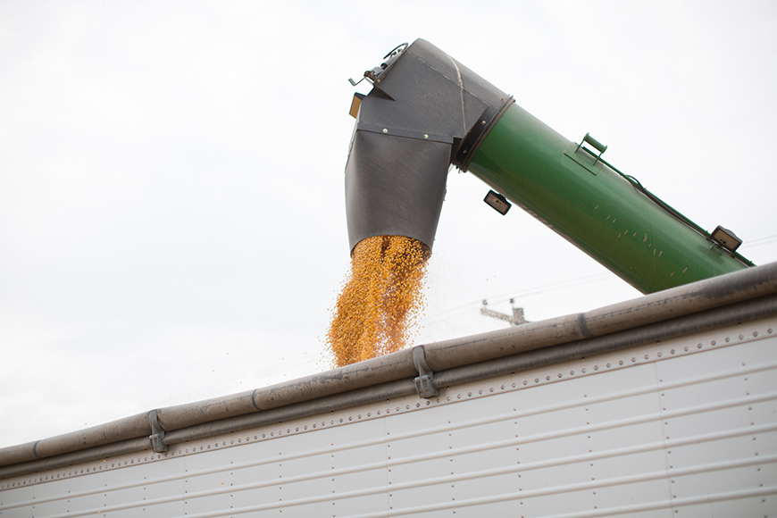 Green combine auger spout unloading corn into semi trailer