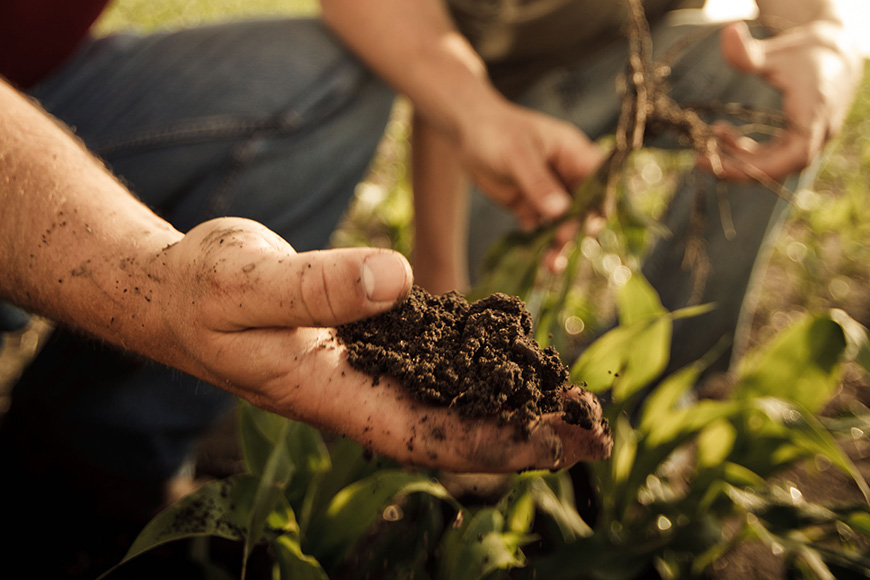 Two men in field inspecting soil