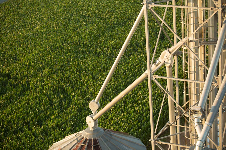 Overhead view of grain silo and cornfield