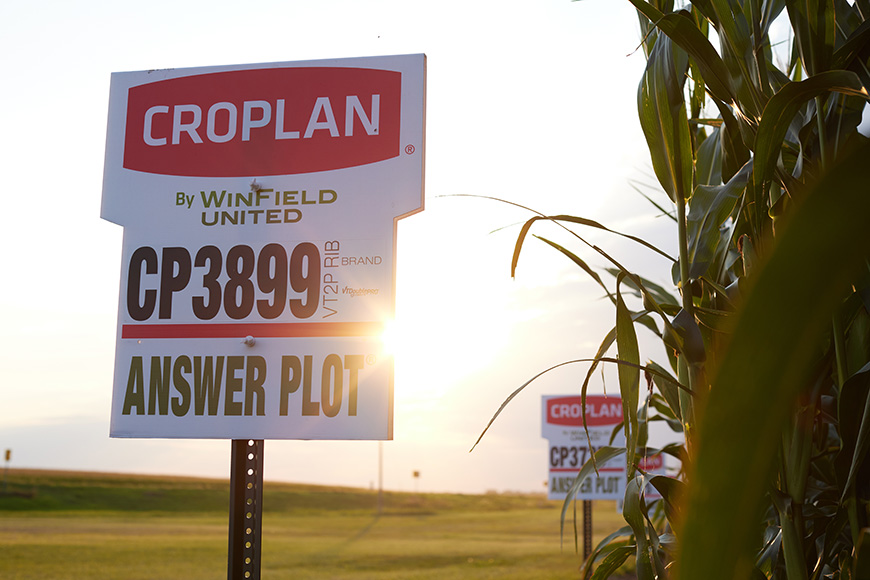 CROPLAN sign next to field of corn.