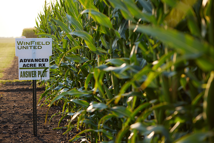 WinField United Answer Plot field sign next to a corn field.