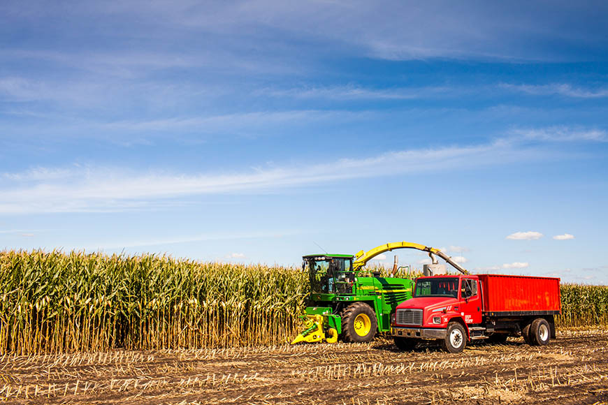 Silage harvester and a truck at silage harvest