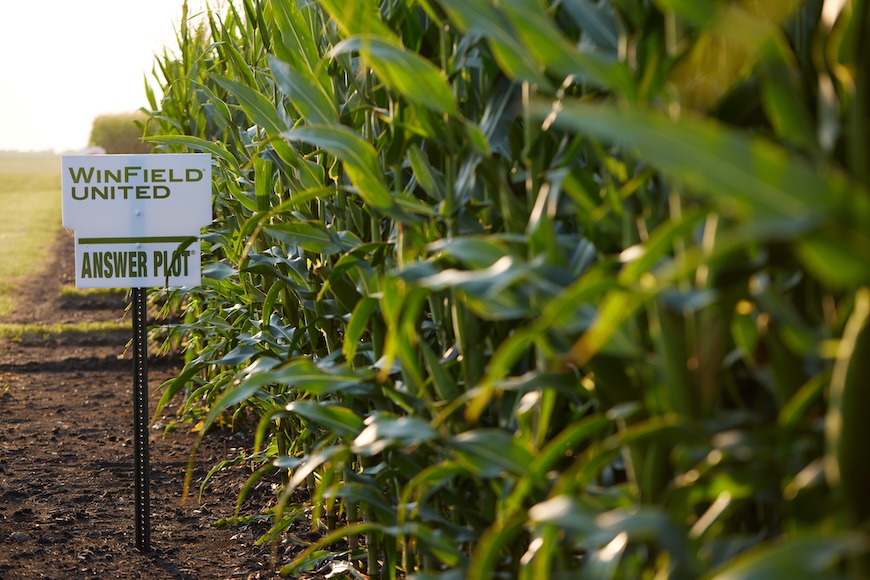 Picture of field sign next to cornfield