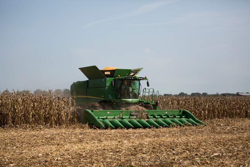 Combine in corn field at harvest.
