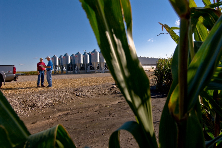 Farmers talking outside next to a corn field