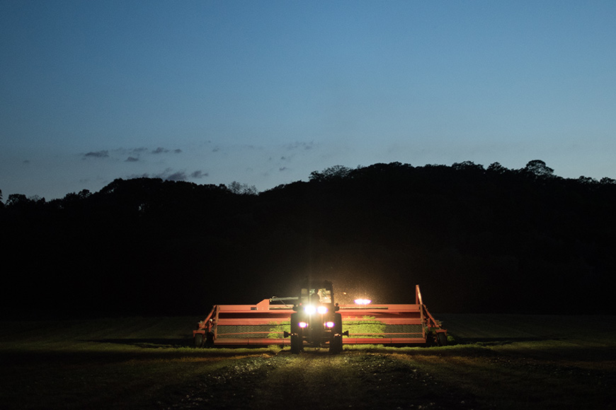 tractor lights shine bright while chopping alfalfa at night