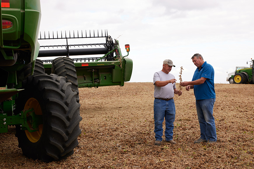 WinField United grower and agronomist evaluating soybean plant at harvest.