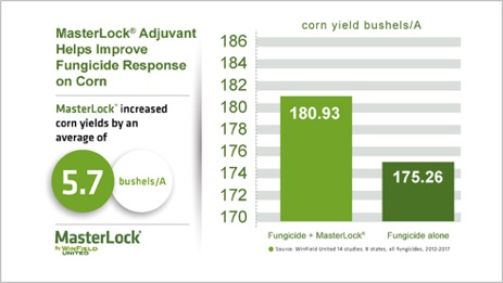 MasterLock Adjuvant Helps Improve Fungicide Response to Corn Graph