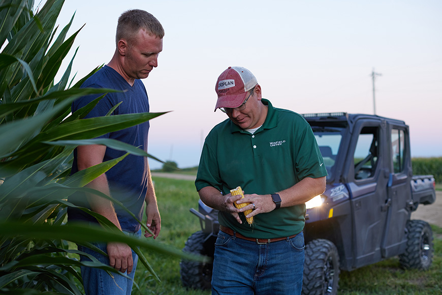 WinField United farmer and field services manager evaluate ear of corn.