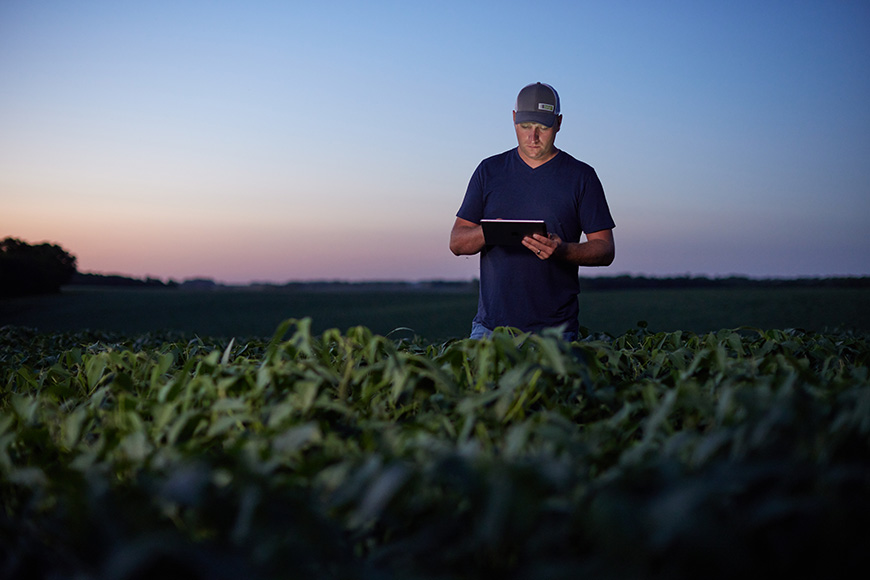 Farmer evaluates data on a tablet while standing in a soybean field.