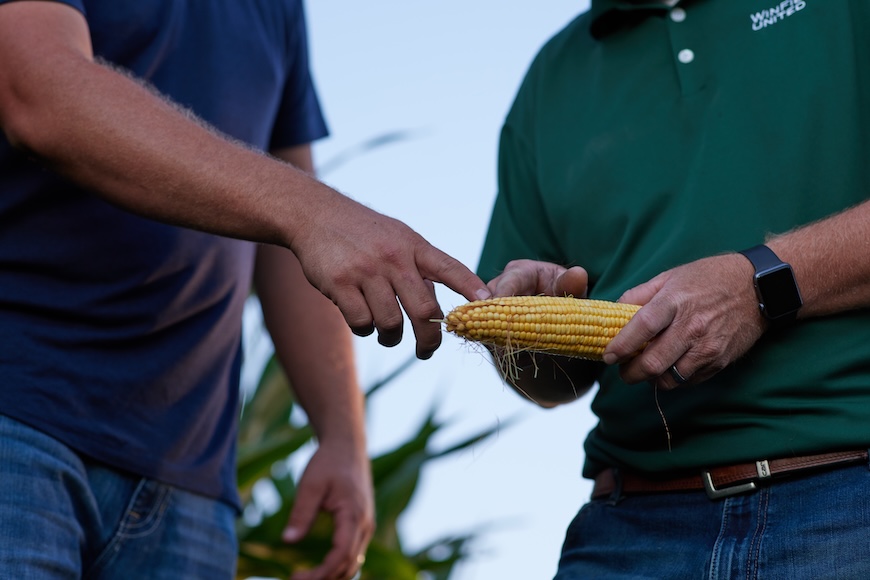 Grower and retailer examining ear of corn