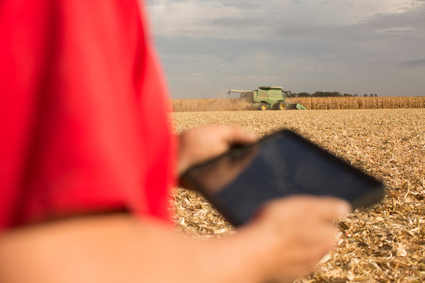 Man in cornfield with tech