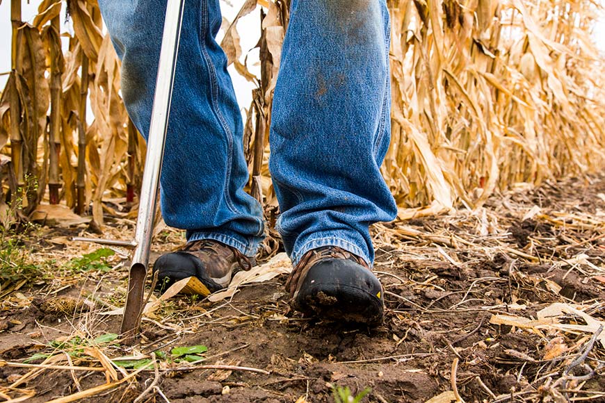 WinField United grower collecting a soil sample in their field during the fall. 