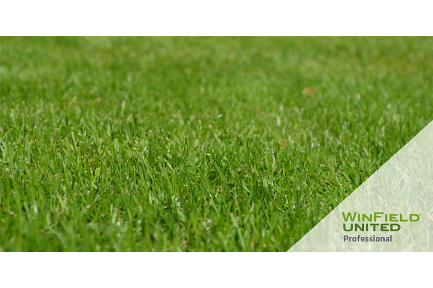 Photo of Grass with WinField United Professional logo in the lower right corner