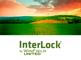 InterLock® Adjuvant