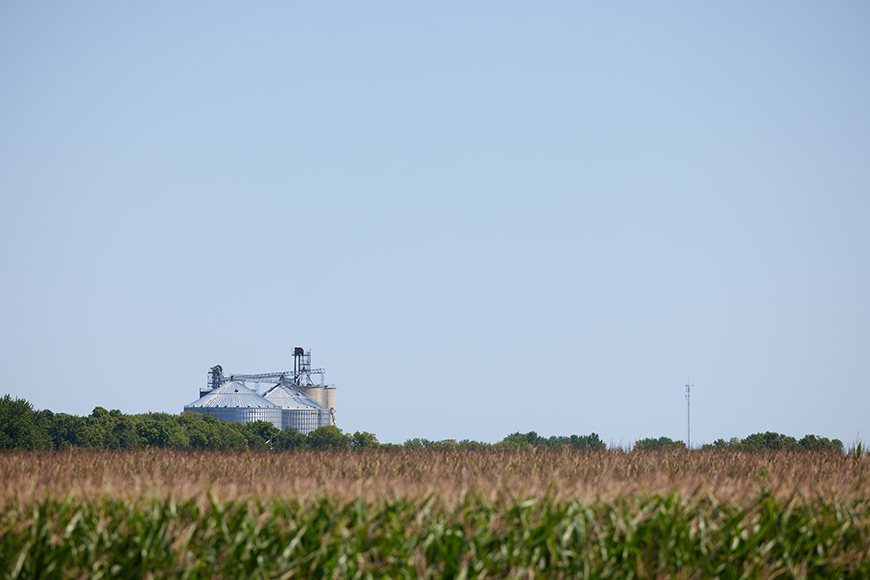 Corn field with grain bins in the distance.