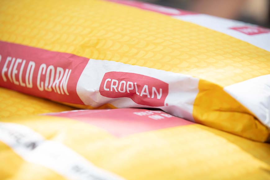 new-corn-products-from-croplan-seed_870x580.jpg