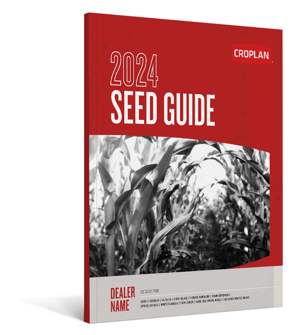 SECURE Finance WinField United   Seed Guide 2024 