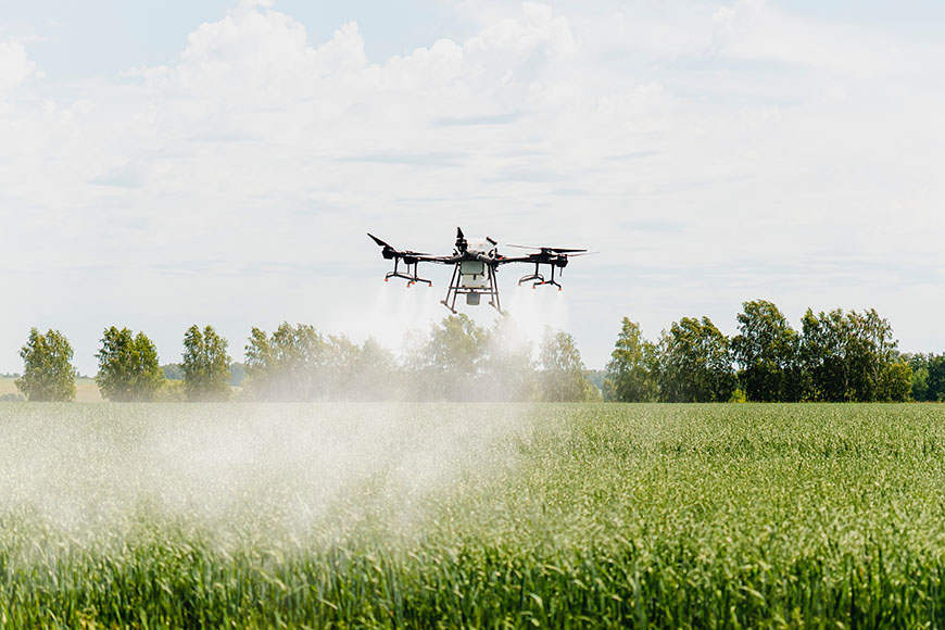 Drone spraying crop protection products on a corn field.