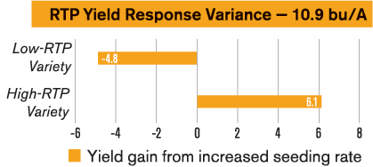 RTP Yield Response Variance