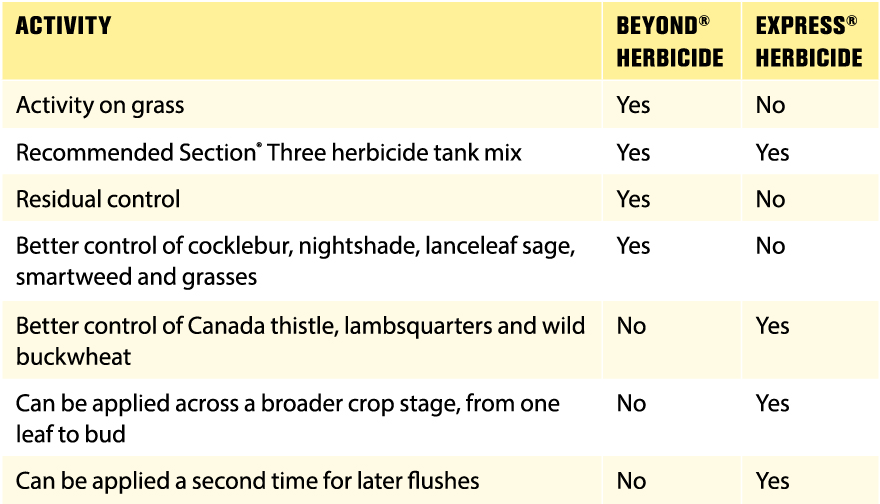 Sunflower Hybrids - WinField® United
