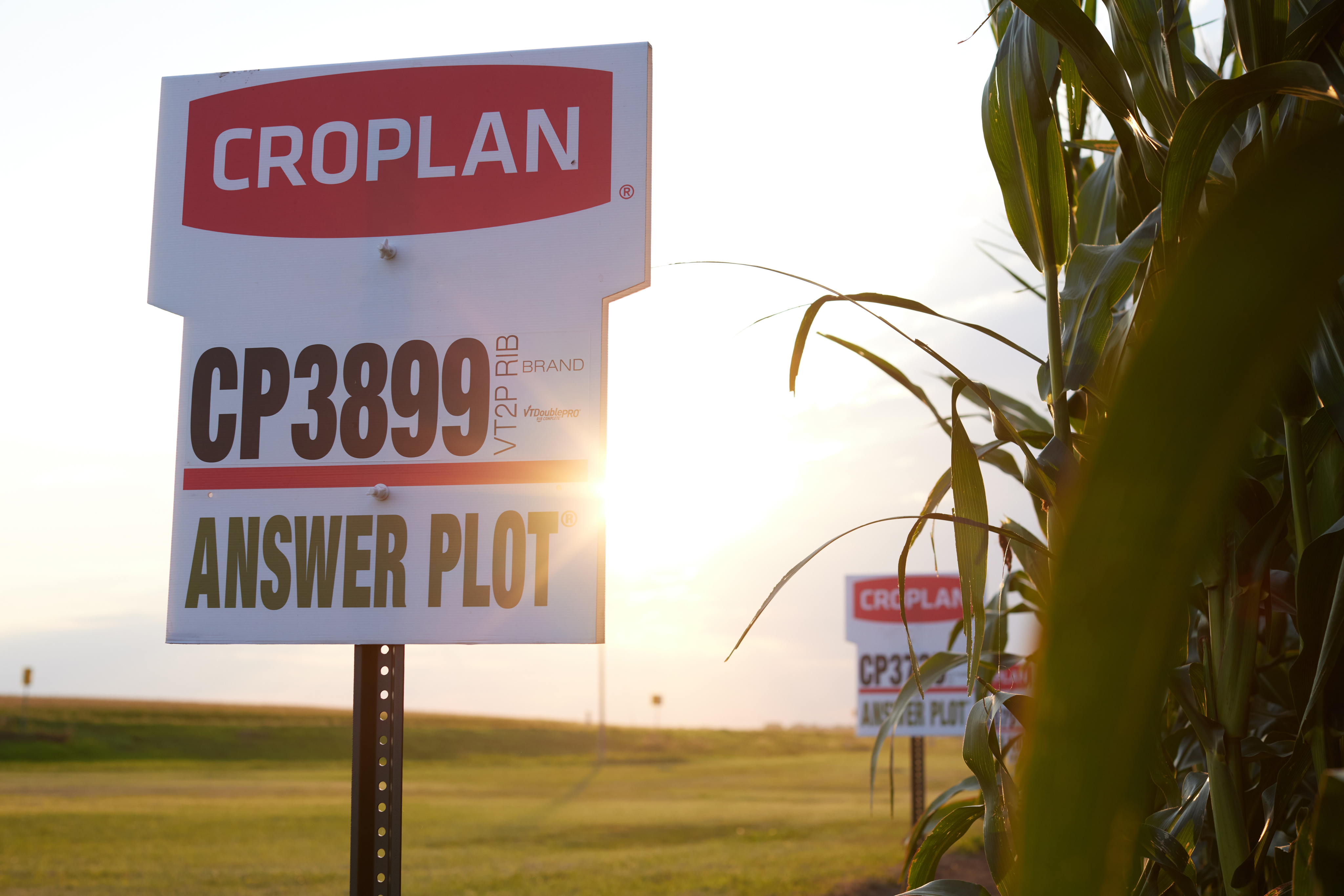 Answer Plot