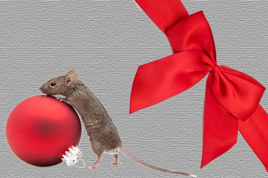 Mouse and Christmas Ornament; Christmas bow