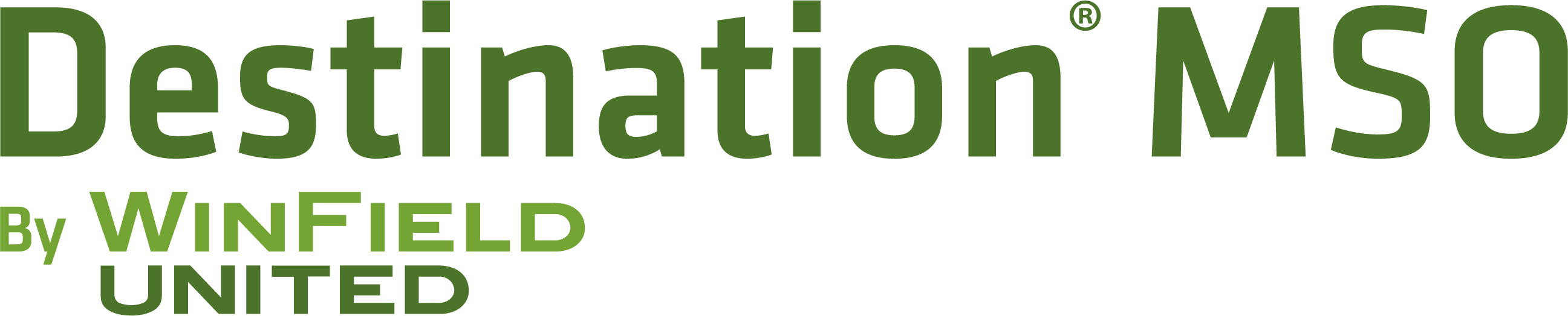 destination mso logo